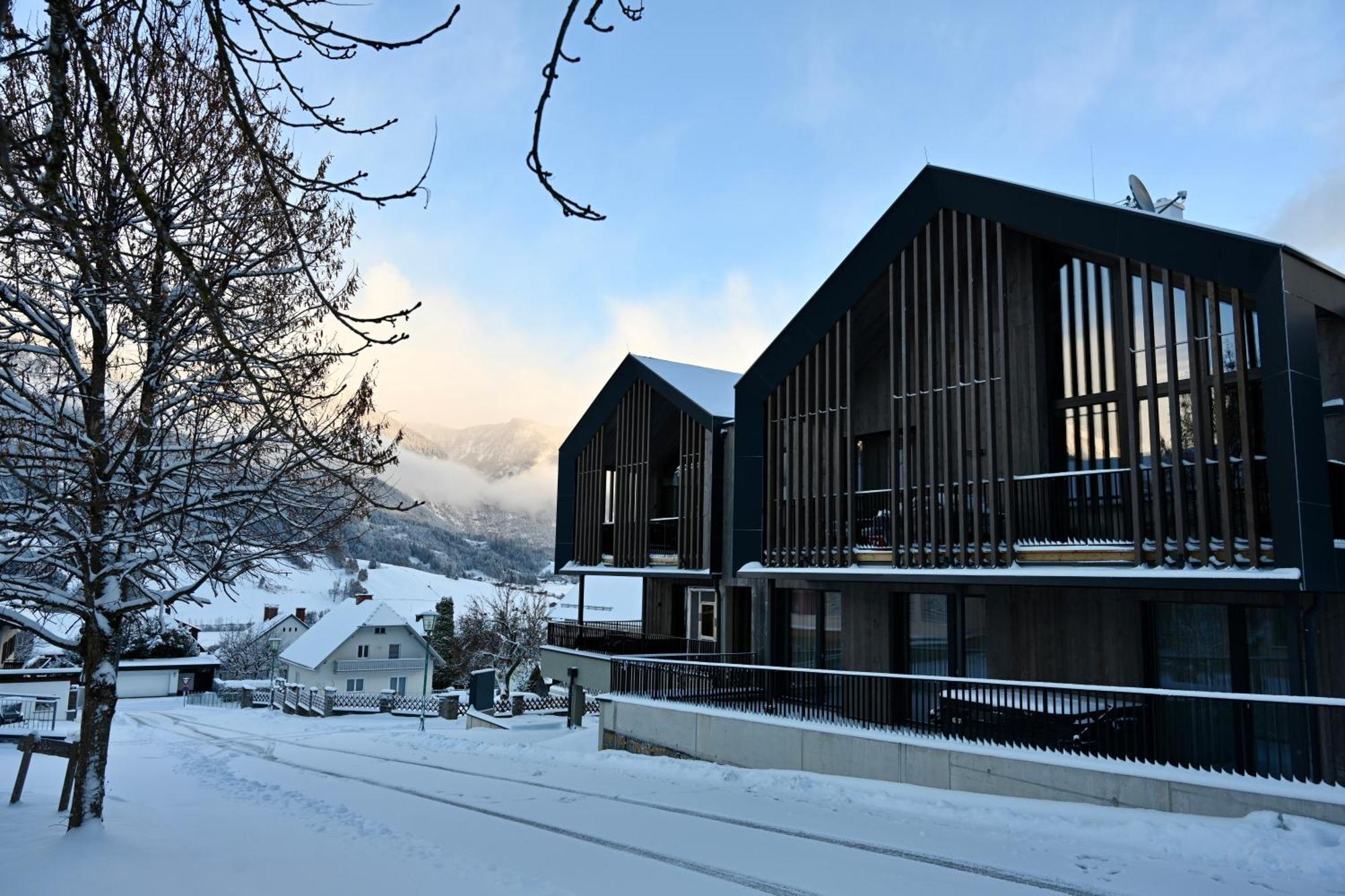 Aloha Suites - Alpin Lodge Haus Haus im Ennstal Exterior foto